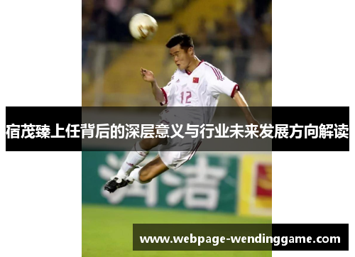 宿茂臻上任背后的深层意义与行业未来发展方向解读