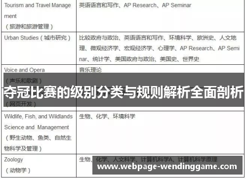 夺冠比赛的级别分类与规则解析全面剖析