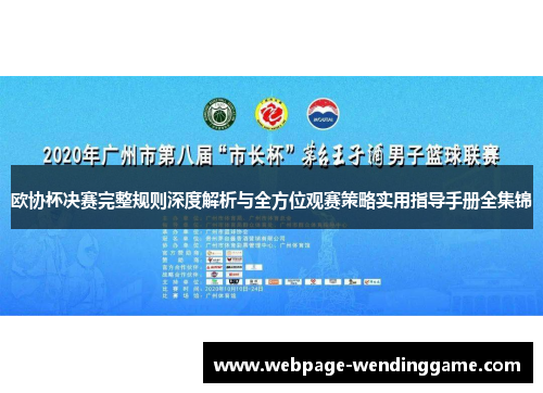 欧协杯决赛完整规则深度解析与全方位观赛策略实用指导手册全集锦