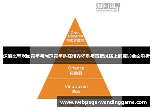 深度比较埃因青年与阿贾青年队在培养体系与竞技风格上的差异全面解析
