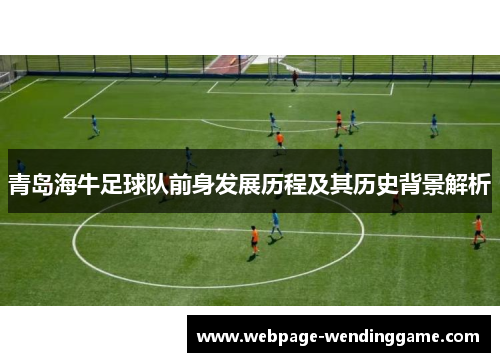 青岛海牛足球队前身发展历程及其历史背景解析 青岛海牛足球队前身发展历程及其历史背景解析