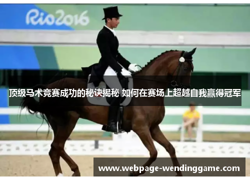 顶级马术竞赛成功的秘诀揭秘 如何在赛场上超越自我赢得冠军