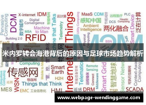米内罗转会海港背后的原因与足球市场趋势解析 米内罗转会海港背后的原因与足球市场趋势解析